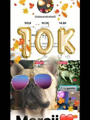 A post by @alexandraheili on TikTok caption: 10k pour OSLO, merci à vous tous❤#frenchbulldog #bouledoguefrançais #foryou #10k #animals