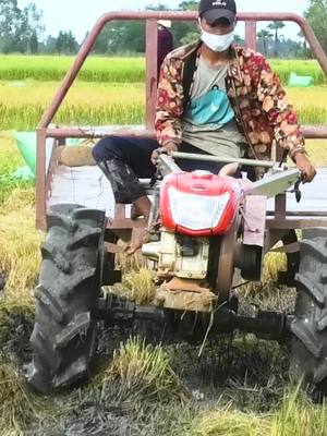 A post by @nhoebsophal on TikTok caption: #TractorYT #BEST Small tractors work on farms to transport rice