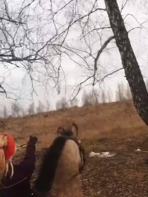 A post by @kanmars on TikTok caption: Косуля #СберегиПланету #horselove #hors #кони #pov #on #fyp #животные #косуля #лошади #лес #новосибирск #природа #конныйспорт #рек #horsetraining #h