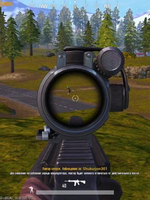 A post by @husky_pubgm on TikTok caption: Я всего лишь хотела перейти дорогу😂🥲 #huskypubgm