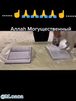 A post by @muslim._9995 on TikTok caption: #fyp #illu #islam #uzb #🙏🙏🙏