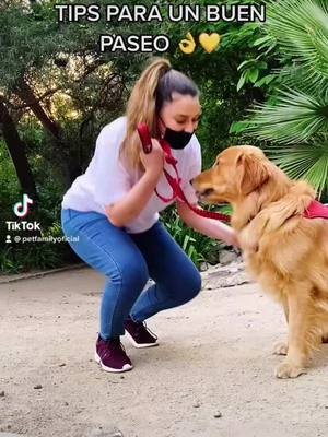 A post by @manemaulen on TikTok caption: Tips!! #dogsontiktok #doglover #mascotas @petfamilyoficial