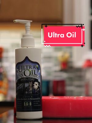 A post by @dayswithwillis on TikTok caption: #ad Featuring our favorite oil in the whole world, @ultraoilforpets ❤️❤️ #ultraoilpets #dog #dogs #australianshepherd #mutt