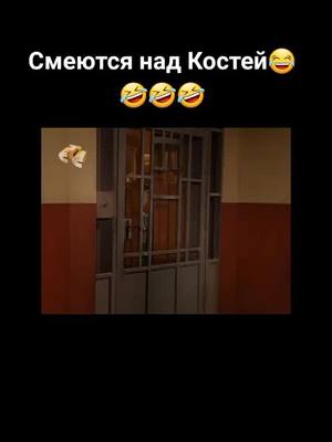 A post by @_lezgin_76 on TikTok caption: #воронины #воронинытоп #ворониныприкол #стс #топ #ворониныстс #воронинырулят #воронинылучшие #сериал #прикол #смеютсянадкостей