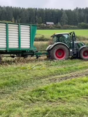 A post by @schwarzwaldkerle on TikTok caption: #mais#festgefahren#fendt#tebbe#lohner#claas#fypシ#nass#attacke#fy#foryou#fyy#fyfyfyfy#landwirtschaft#farming#viral