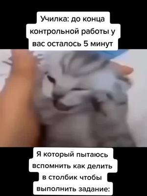 A post by @_avtor_memov_ on TikTok caption: Без хэштегов