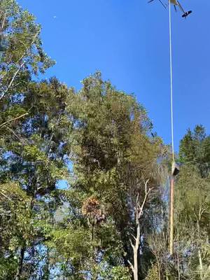 A post by @alanstack on TikTok caption: #helicopter #md500 #aerialsaw #sawpilot #powerline #railroad #georgia #aviation #aviationphotography #dirtyhandscleanmoney