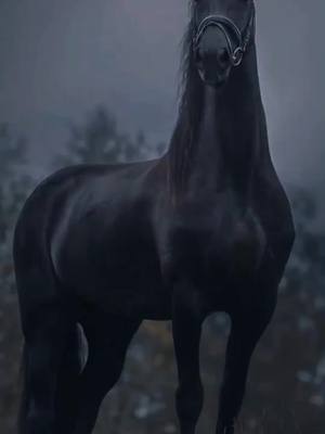 A post by @horseslover666 on TikTok caption: #horse #horseslover #foryou #fypシ #fypシ #ForzaHorizon5GO #roborockrun