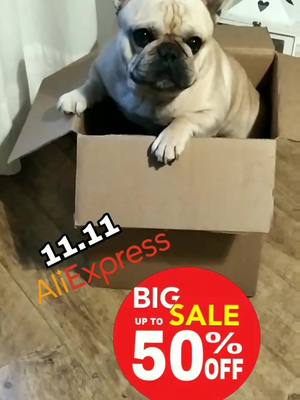 A post by @alexandraheili on TikTok caption: Boubou grognon  soldé à 1€ 💰#aliexpress1111 #aliexpress #bouledoguefrançais #fyp #pourtoi #animalsoftiktok #rigolo