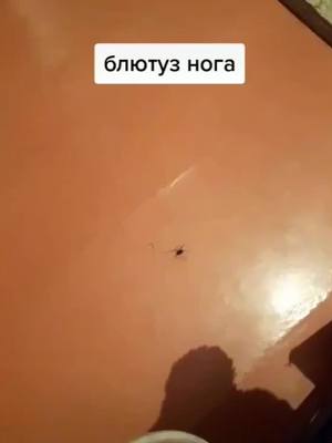 A post by @normbloger.live on TikTok caption: Смотри звук👇