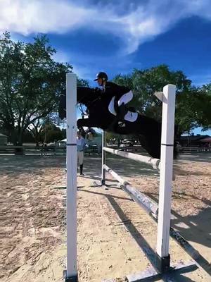 A post by @horsegirlshypehouse on TikTok caption: bob🤩💖 @peytonhunt24 #horses #florida #jumping #equestrian