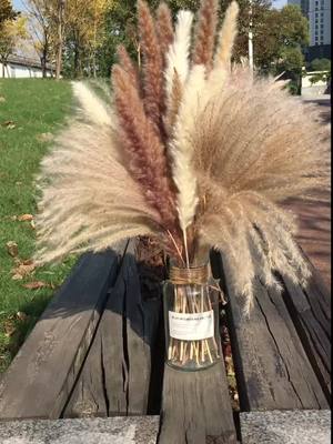 A post by @ilhappy01 on TikTok caption: Pampas Grass #pampasgrass #tiktok