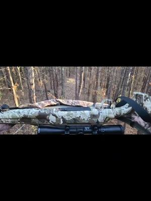 A post by @breadman1969 on TikTok caption: #deer hunting #for you #guns