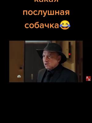 A post by @uzukumidoria0 on TikTok caption: #пёс #гнездилов #максимов