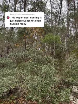 A post by @calebcli386 on TikTok caption: Reply to @chris_leedy  “NoT EvEn HuNtINg ReALlY” says the one who’s never probably never dog hunted in there life #deerdogs #houndsman #walkerhounds #deerdoghunting #florida