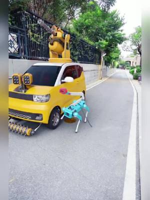 A post by @wxm17958 on TikTok caption: In car sentry mode,the robot dog suffers #Interesting video #Special effects