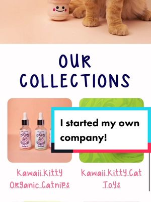 A post by @gabriellastephaniec on TikTok caption: Sorry, I’ve been out building @kawaiikitty.shop 🌸 #buildingmybusiness #womanownedsmallbusiness #smallbuisness #smallbusinesstiktok