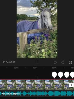 A post by @.anna_orlova on TikTok caption: в какой программе вы делаете эдиты? #рекомендации #cupcut #лошади #конник #эдит #программа #тренд #конныйспорт #свобода #сераялошадь #horse #foryou