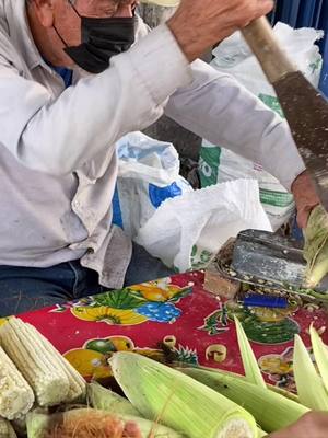 A post by @anacocinafacil on TikTok caption: Receta especial 🙌🏼 #tamales #elote #graciasporelapoyo #culiacan #sinaloa #anacocinafacil #fyp #parati