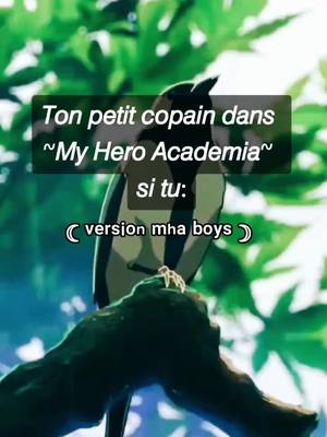 A post by @akasukie on TikTok caption: Ca fait longtemps que j'ai pas fait de tiktok de ce style ! <3 #pourtoi #manga #anime #weeb #bnha #japan #mha