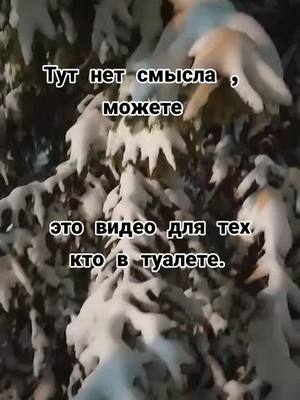 A post by @lemys00 on TikTok caption: #SpotifyWrapped #РешисьНаПеремены #МагнитНаЛёд #новыйгод #втуалете #lemys00