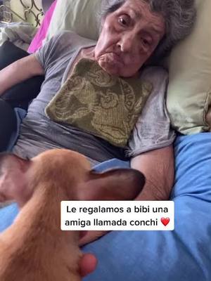 A post by @jessibibi on TikTok caption: Parece que se conocieron en otra vida #abuela #amor #chihuahua #fyp #parati