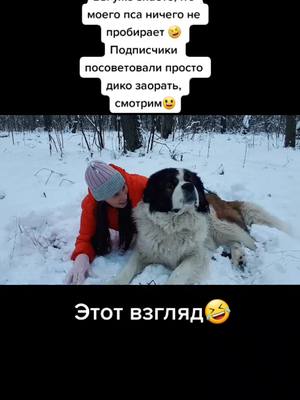 A post by @fl.oid on TikTok caption: #ожиданиереальность #гавкничеллендж #вреках #приколыссобаками #деньпитомца #московскаясторожевая #dogs