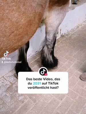 A post by @derhufschmied on TikTok caption: @tiktok antworten #equestrian #schmied #Pferd #horse #farrier #hufschmied # #hufbearbeitung #hufbeschlag #pferde #satisfiyingvideo #asmr