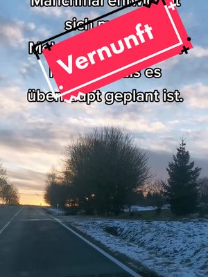 A post by @spruechetv on TikTok caption: Und manchmal ist es gut unvernünftig zu sein. #winterwonderland #erinnerung #fypシ゚viral #fypシ #westwood #street #fyp #fy #car #cardriving #schnee