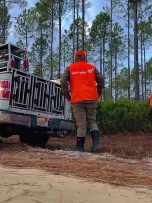 A post by @calebcli386 on TikTok caption: Dump the whole mf box on his ass 🦌#houndsman #walkerhounds #deerdoghunting #florida #CustomersMostLoved