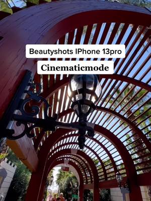 A post by @finalschnitt on TikTok caption: #iphone13pro #cinematicmode #beautyshots #delphindiva