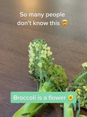 A post by @herbalist_care on TikTok caption: The way people don’t know every plant is a flower🌻 @Just Plants