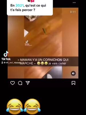 A post by @dit_oui_stpppp on TikTok caption: Répondre à @lalane._971 #drole #percersurtiktok