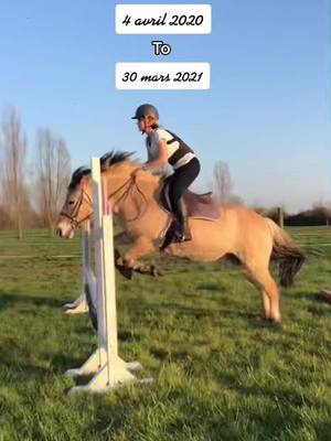 A post by @lez_a_cheval on TikTok caption: Vous voyez une évolution ? #horse #cheval #equitation #saut #fypシ #pourtoi