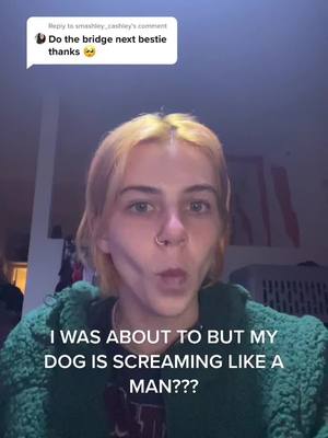 A post by @adamsadnler on TikTok caption: Reply to @smashley_cashley