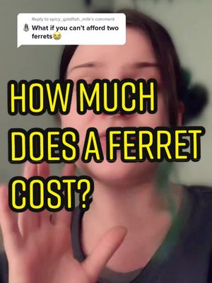 A post by @rescueferrets on TikTok caption: Reply to @spicy_goldfish_milk wonderful but expensive ✨ and very high maintenance #ferret #ferretsoftiktok #ferretcare #ferretmom