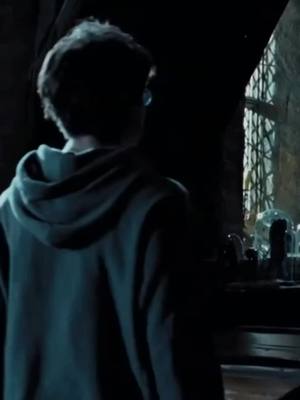 A post by @ on TikTok caption: Давненько меня тут не было…#hp #harrypotter#marauders#rimuslupin