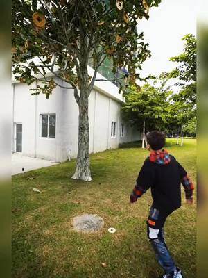 A post by @wxm17958 on TikTok caption: Money tree#Special effects#Interesting video