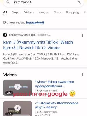 A post by @kammyinnit on TikTok caption: #greenscreen #dsmp #kammyinnit