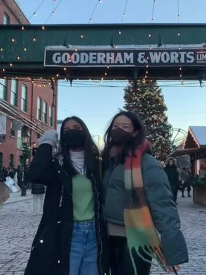 A post by @anvitag on TikTok caption: come to the christmas market with us 🎄❄️