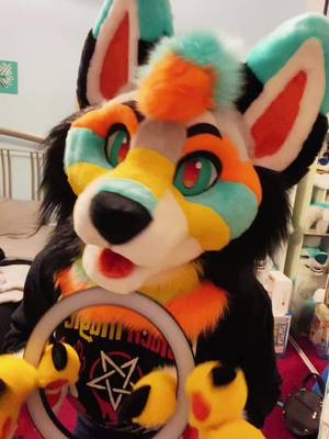 A post by @starpupstudio on TikTok caption: Light ring shenanigans!! 💫 (Calypso was made by Splinterfox) #fursuit #fursuiter #furryfandom #furry