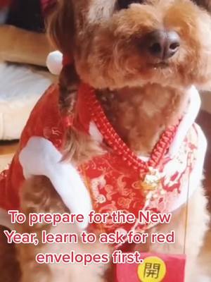 A post by @rhiojyrfhkkiteeios57 on TikTok caption: As the New Year is coming, learn how to make red envelopes first.#greenscreenvideo #dogg #doggie #doglover #tikto