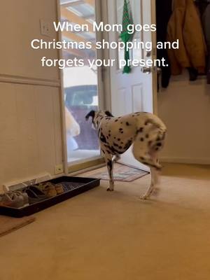 A post by @brittany_ann92 on TikTok caption: #enchantedtaylorswift #dogsofttiktok #christmas #dalmatian