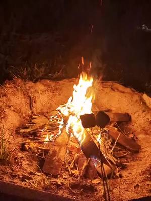 A post by @zoeparsley on TikTok caption: South Florida Winters #WhenRiftanSays #christmas #florida #bonfire #smores #fyp