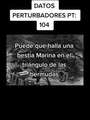 A post by @datos_terror_18 on TikTok caption: SIGUEME Y TE DIVERTIRÁS !! 🖤🔥 #perturbadores #foryoupage #terror #terro #foryou