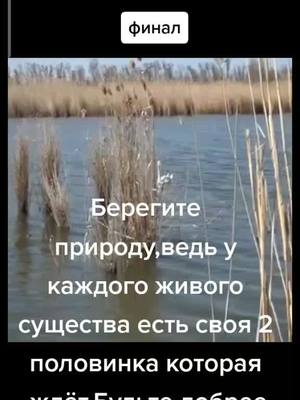 A post by @nikolafisherman62 on TikTok caption: #добро#интересноевидео