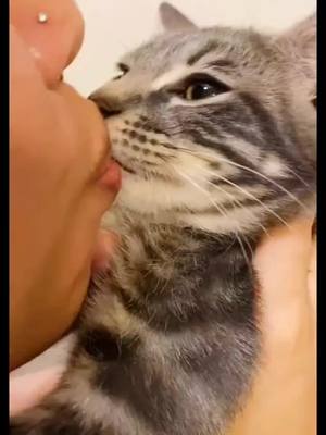 A post by @ninachristine15 on TikTok caption: she looks as if she were going to cry.#weirdpets #meow #GEICOGiveHappy #pet #fight #surprise #catsoftiktok #kissan #foryoupage