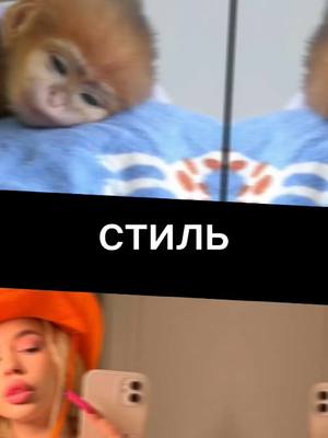 A post by @spa1kee on TikTok caption: тупо факты😎😎