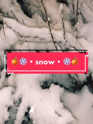 A post by @toca_live.best on TikTok caption: 1//•Вааууу😵‍💫❄️🎄🍊• #эстетика🍊❄️ #ДавайЗаСтол #новогоднийвыйб🍊🎄 #FreeFireIce #МТСДжуниорВайб #врек🦌☃️🎄 #fyp #on #fyr #fyp