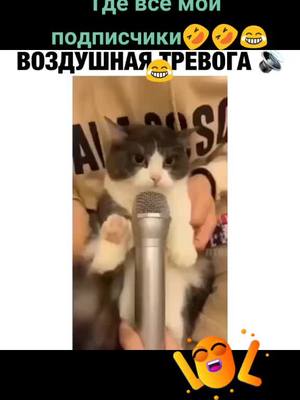 A post by @ir_in_ka_ on TikTok caption: отзавитесь 🤣😂😂🤗